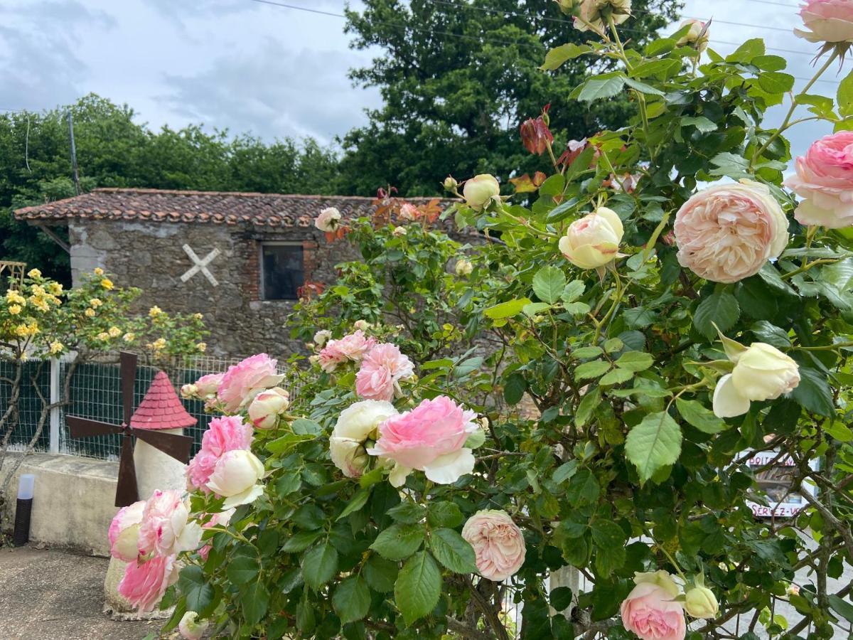 ホテル Le Petit Moulin プゾージュ エクステリア 写真